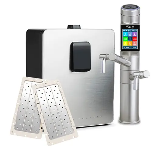 INOUT 11th Anniversary Sierra cup イナウト INOUT 11th Anniversary Sierra cup イナウト